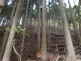 P4170050.JPG