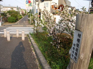 P4170079.JPG