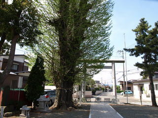 P4171103.JPG