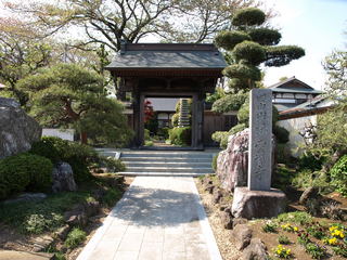 P4171113.JPG