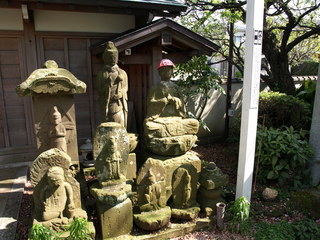 P4171115.JPG