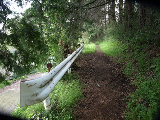 P4171171.JPG