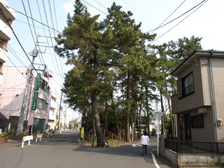 P4179983.JPG