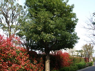 P4179990.JPG