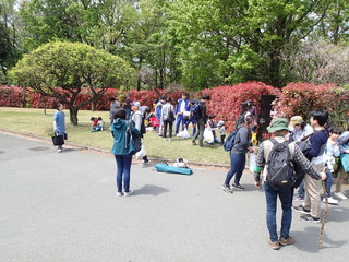 P4210057.JPG