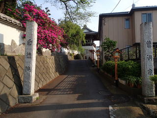 P4230002.JPG