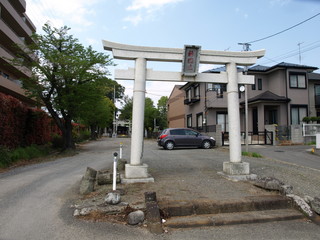 P4231211.JPG