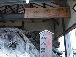 P4231217.JPG