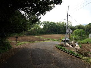P4231280.JPG