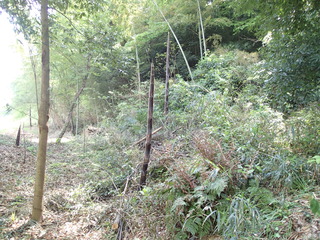 P4250022.JPG