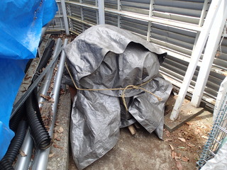 P4250054.JPG