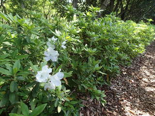 P4260008.JPG