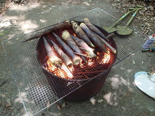 P4260040.JPG