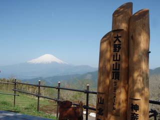 P4290080.JPG