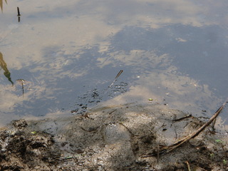P5020020.JPG
