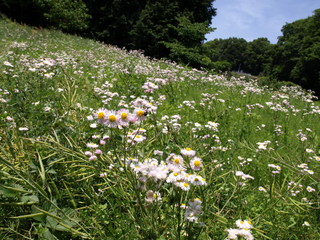 P5084558.JPG