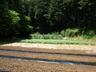 P5084561.JPG