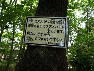 P5084582.JPG