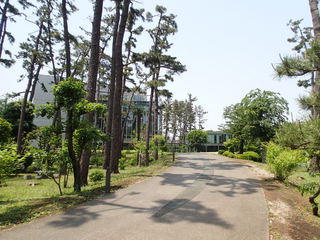 P5140005.JPG