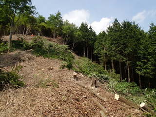 P5170045.JPG
