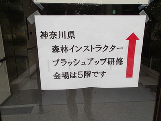 P5190037.JPG