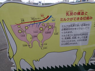 P5210075.JPG