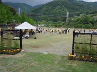 P5220020.JPG