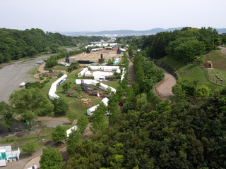 P5222859.JPG