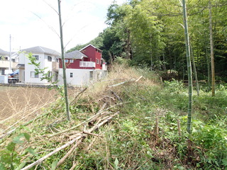 P5230038.JPG