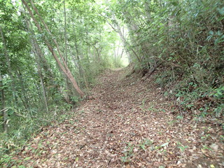 P5230043.JPG