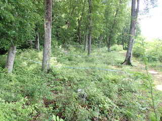 P5240010.JPG