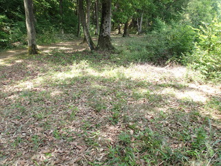 P5260005.JPG