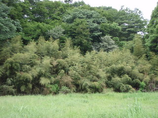 P5270020.JPG