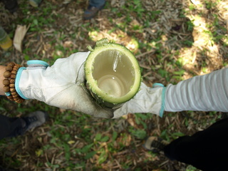 P5276822.JPG