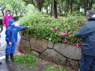 P5290003.JPG