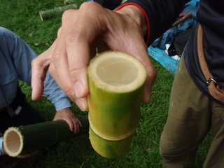 P5310019.JPG
