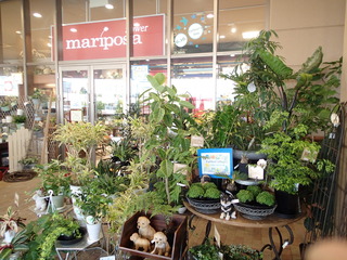 P6020022.JPG