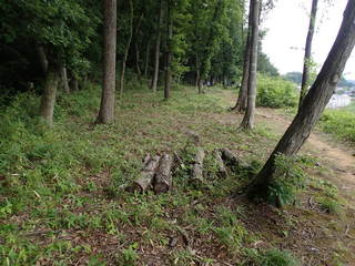 P6020050.JPG