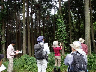 P6100004.JPG