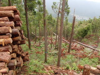 P6100034.JPG