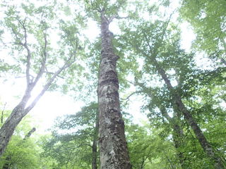 P6100110.JPG