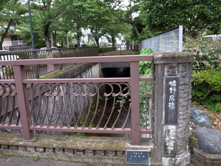 P6204609.JPG