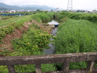 P6204746.JPG