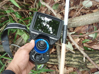 P6230021.JPG