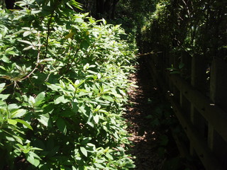 P6260010.JPG