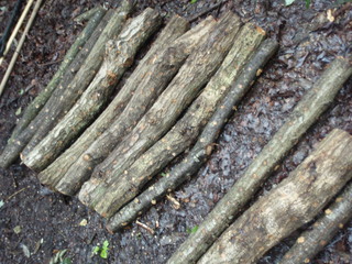 P6260027.JPG