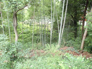 P6290027.JPG