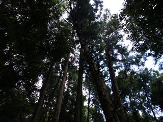 P6307342.JPG