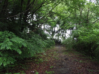 P7010008.JPG
