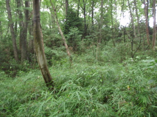 P7010010.JPG